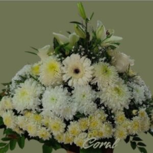 condolencias en blanco